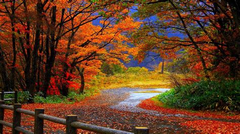 autumn scene wallpaper|fall wallpaper backgrounds desktop.